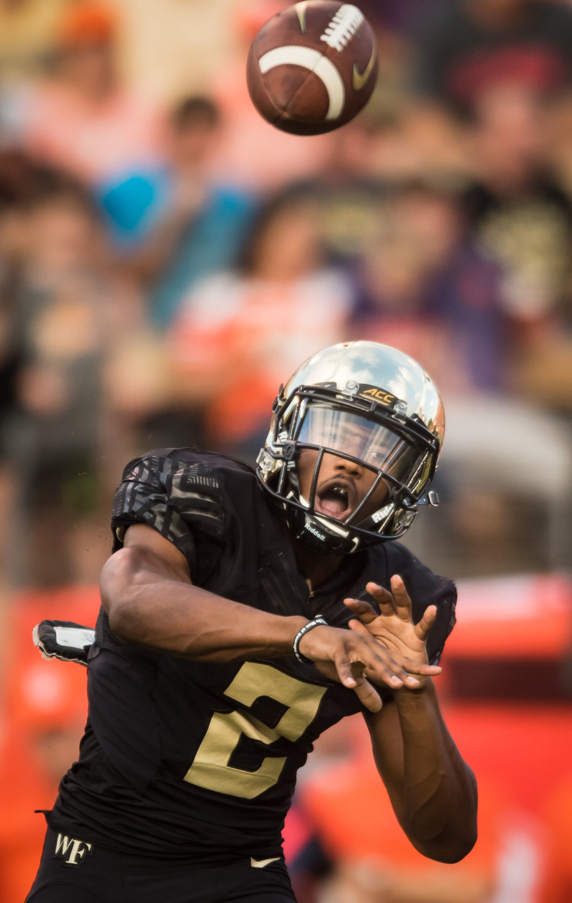 Wake Forest Clemson Football